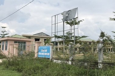 Quảng Ngãi: Trung tâm công nghệ sinh học chỉ để trồng nấm?