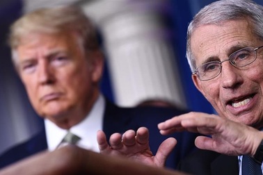 Cố vấn Nhà Trắng: “Ác mộng” Covid-19 còn lâu mới chấm dứt