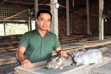 Chàng trai trẻ kiếm trăm triệu đồng mỗi năm từ nghề nuôi thỏ