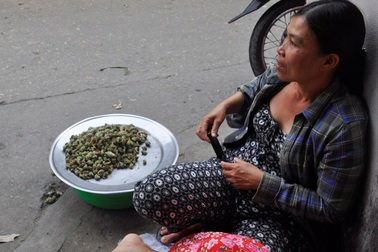 Những người phụ nữ của biển