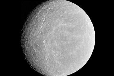 Những khám phá khoa học gây sửng sốt nhất năm 2010