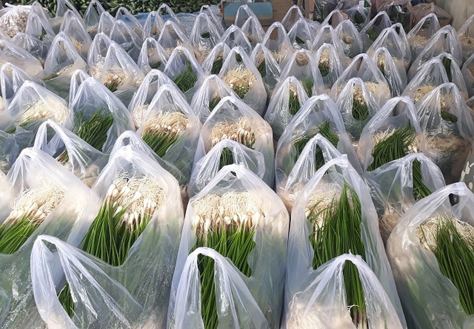 Giá kiệu Tết tăng cao, nông dân phấn khởi thu lãi tiền triệu mỗi sào - 3 Giá kiệu Tết tăng cao, nông dân phấn khởi thu lãi tiền triệu mỗi sào - 3