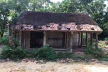 “Đi săn” nhà gỗ cho đại gia, rủng rỉnh đút túi cả trăm triệu mỗi tháng