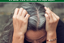 Bạc tóc vì căng thẳng, buồn phiền là hoàn toàn có thật