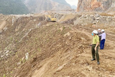 Vì sao công an không khởi tố doanh nghiệp tàn phá 32.000m2 rừng?