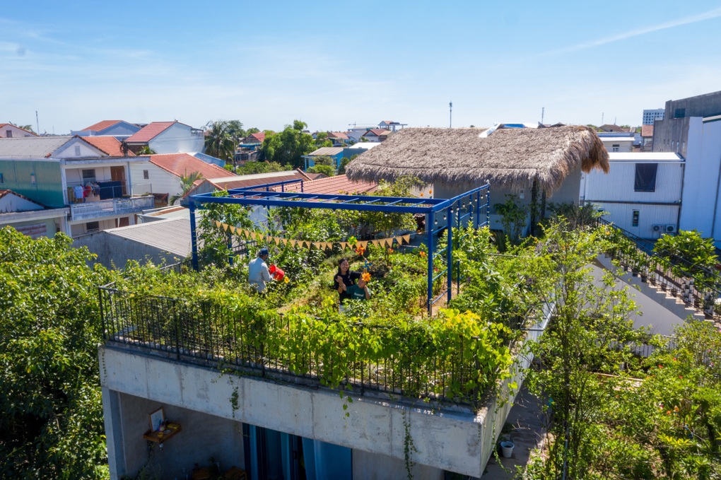Ông bố khùng đưa bể bơi, vườn cây lên mái nhà 250m2 thay cho máy điều hòa - 8 Ông bố khùng đưa bể bơi, vườn cây lên mái nhà 250m2 thay cho máy điều hòa - 8