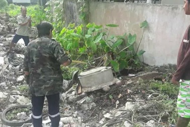 Rùng mình khoảnh khắc trăn bị ép buộc phải nôn ra xác mèo đã ăn thịt