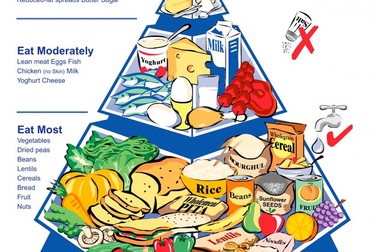 Tháp thực phẩm giúp cơ thể khỏe