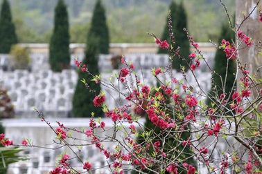Mùa xuân biên giới
