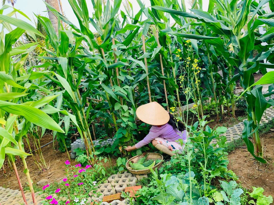 Khu vườn 720m2 đẹp như resort thu nhỏ người chồng tặng vợ ở Đồng Nai - 6 Khu vườn 720m2 đẹp như resort thu nhỏ người chồng tặng vợ ở Đồng Nai - 6