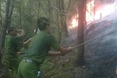 Nhóm trẻ đốt lửa bắt ong làm cháy gần chục ha rừng?