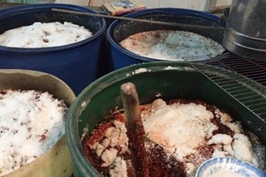 Rùng mình giòi bò lúc nhúc trong 7 tấn tương ớt