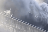 Cảnh cô gái ném 2 chú chó cưng từ tầng cao xuống dưới giữa đám cháy dữ dội