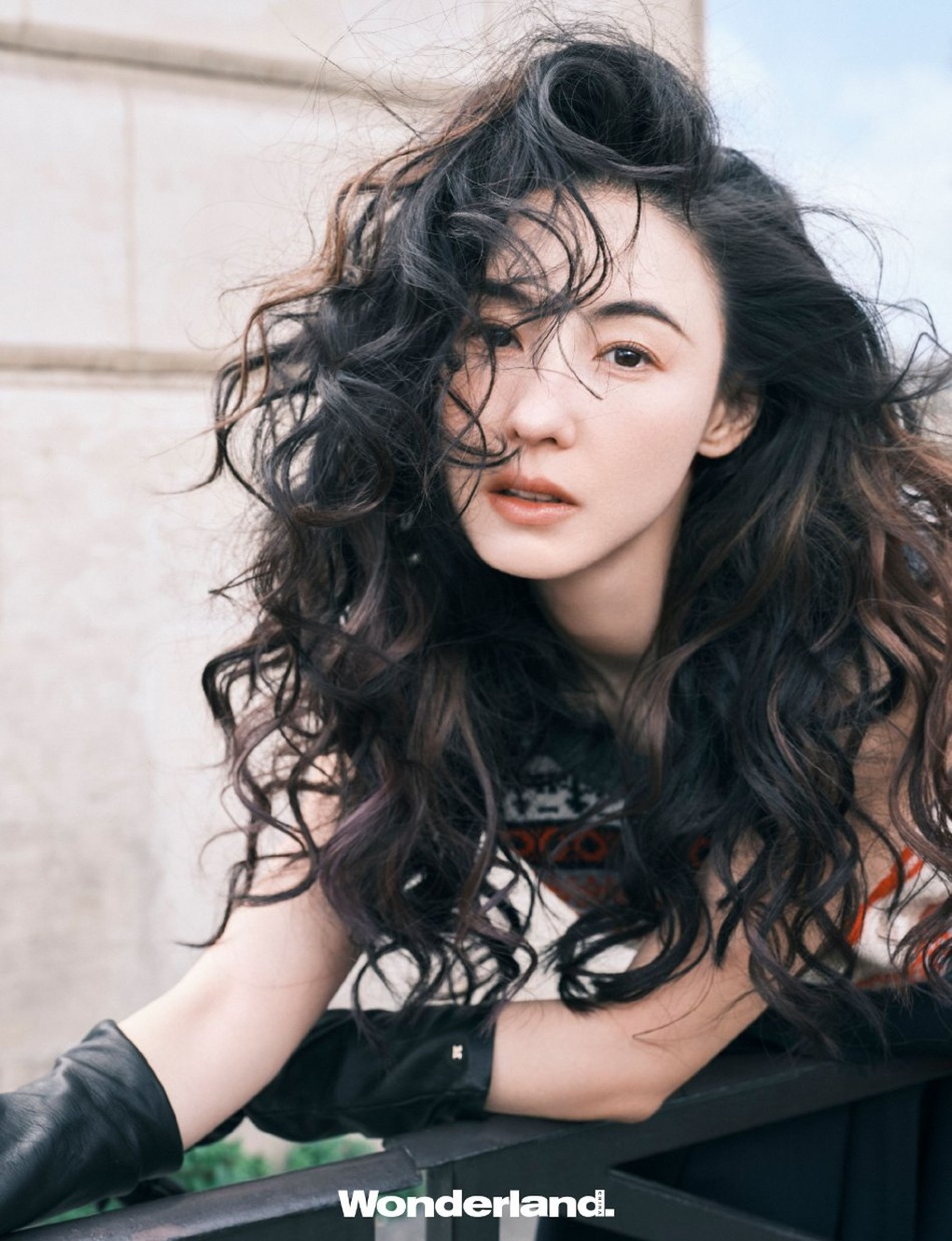 Ồn ào danh tính người đàn ông trong bóng tối của Trương Bá Chi - 1