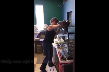 Kinh hãi khoảnh khắc trăn gấm bất ngờ tấn công chủ khi đang được cho ăn