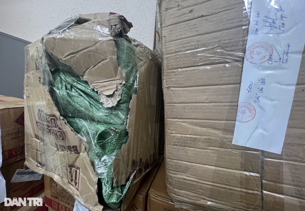 Công an Hà Nội triệt phá đường dây cá độ 600 tỷ đồng - 2 Công an Hà Nội triệt phá đường dây cá độ 600 tỷ đồng - 2