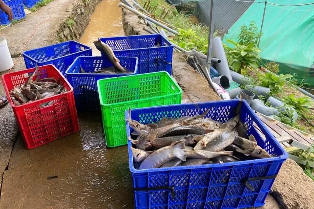 Hơn 100 người mở đường mòn, gùi hàng tiếp tế cho 1.700 nhân khẩu bị cô lập - 4 Hơn 100 người mở đường mòn, gùi hàng tiếp tế cho 1.700 nhân khẩu bị cô lập - 4