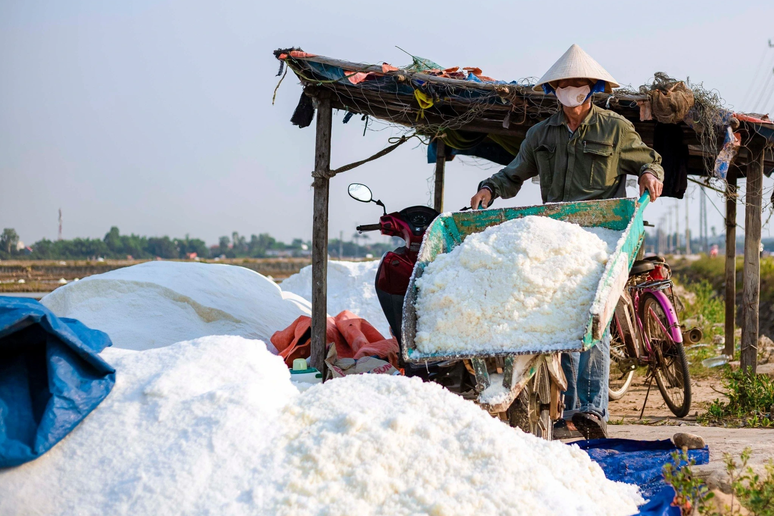 Nghề "làm một ngày, ăn cả năm" lao đao vì giá giảm 50%