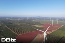 Năm thất bát, thua lỗ của năng lượng tái tạo, chờ "phao" mới