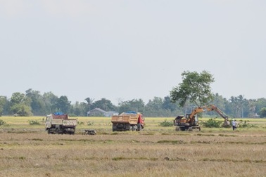 Sóc Trăng: Báo động tình trạng khai thác đất mặt ruộng