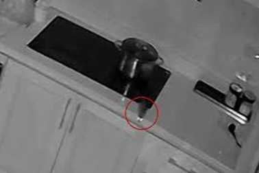 Chuyên gia chỉ thói quen sai lầm khiến chuột "tự bật" bếp từ, gây cháy