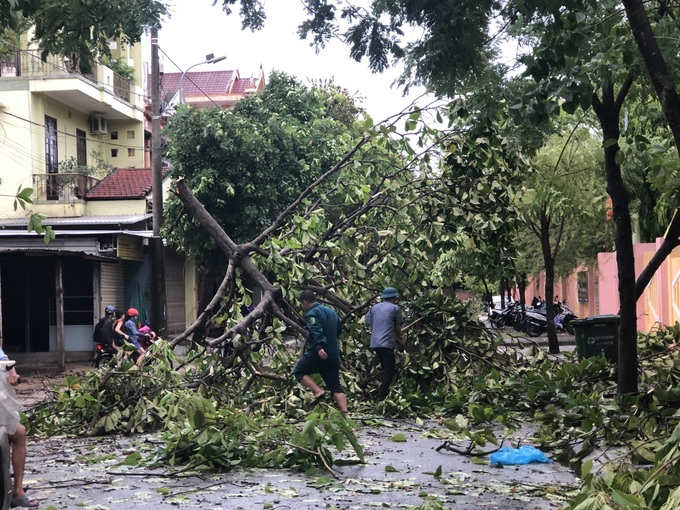 Quảng Trị: Chặt cây chống bão số 8, một người đàn ông bị chấn thương sọ não - Ảnh 1.