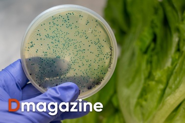 Mầm họa trong những món khoái khẩu ngày hè của người Việt