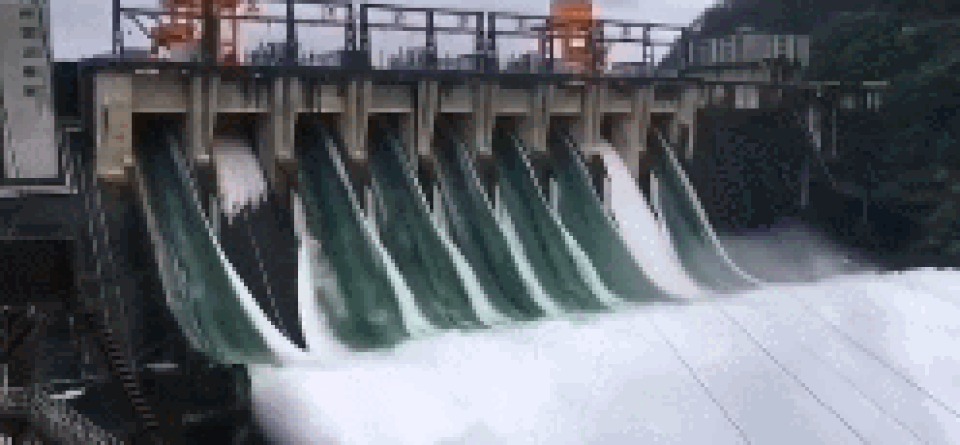 Cá bay đầy trời khi đập thủy điện Trung Quốc xả nước - 2 Cá bay đầy trời khi đập thủy điện Trung Quốc xả nước - 2