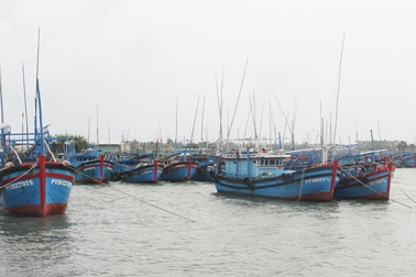 Mở chuyên án điều tra hành vi trục lợi tiền hỗ trợ nhiên liệu tàu cá