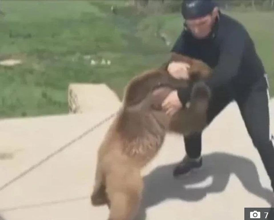 Tay không đấu vật với gấu và sư tử, võ sĩ Khabib lại suýt ngất vì sợ rắn - 5 Tay không đấu vật với gấu và sư tử, võ sĩ Khabib lại suýt ngất vì sợ rắn - 5