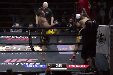 Võ sĩ hạ đối thủ bằng cú đá "lốc xoáy"