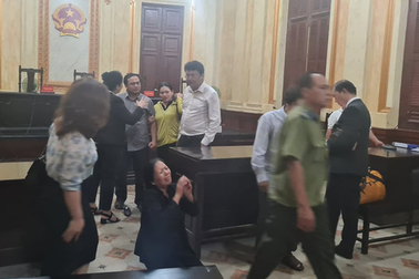 Tòa án Nhân dân TPHCM lên tiếng vụ đương sự có ý định nhảy lầu tại tòa