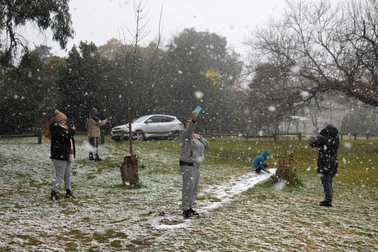 Thành phố ở Nam Phi lần đầu có tuyết rơi dày sau 11 năm