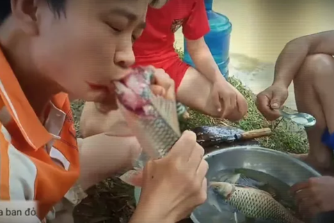 Kinh hãi trào lưu “ăn tươi nuốt sống” ghê rợn trên YouTube