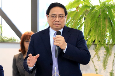 Đề nghị Romania hợp tác để mở rộng nhà máy lọc dầu Nghi Sơn, Dung Quất