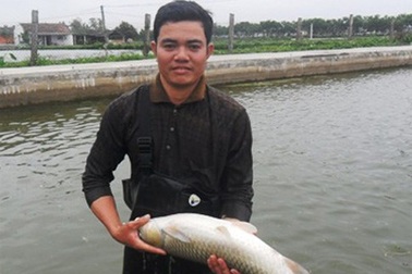 Bí thư Đoàn 8X làm kinh tế giỏi