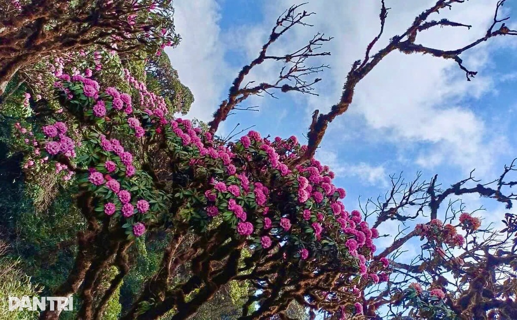 Người dân nơi nóc nhà Đông Bắc và nỗi ám ảnh khi lũ dữ, mưa về - 1 Người dân nơi nóc nhà Đông Bắc và nỗi ám ảnh khi lũ dữ, mưa về - 1