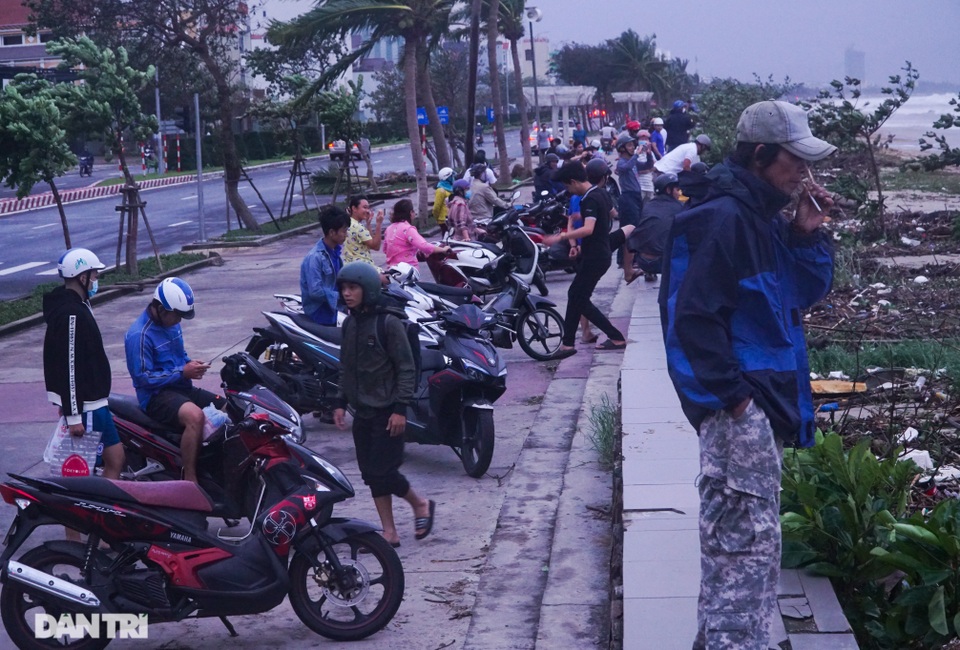 Đường phố Đà Nẵng ngổn ngang, cây xanh ngã đổ la liệt sau bão - 14 Đường phố Đà Nẵng ngổn ngang, cây xanh ngã đổ la liệt sau bão - 14