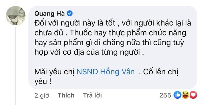 Quang Hà bị chỉ trích khi lên tiếng bênh vực NSND Hồng Vân - Ảnh 1.