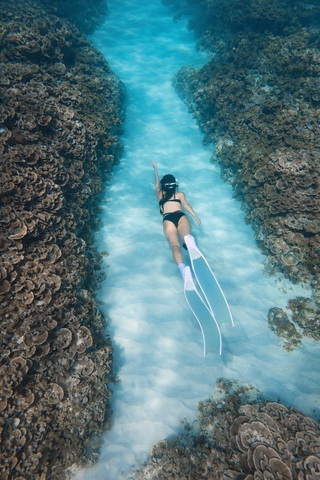 Không cần đi Maldives, khách đổ dồn về Phú Quý lặn biển vì đẹp siêu thực - 14