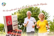 Vườn Sâm - Kết nối tình thân bằng món quà sức khỏe ý nghĩa