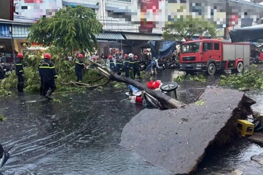 Đà Nẵng: Cây lim xẹt bật gốc, ngã đè trúng người phụ nữ bán nước