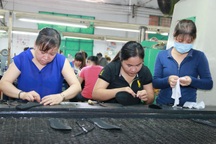 Sửa đổi Bộ Luật Lao động: Cần cân nhắc kỹ!