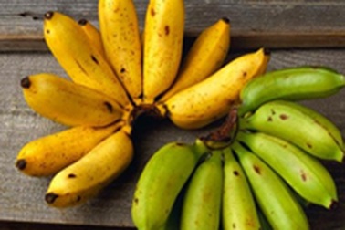 Cơn sốt chuối tại đất nước mặt trời mọc