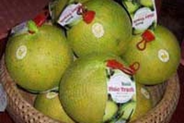 Bưởi Phúc Trạch có thương hiệu