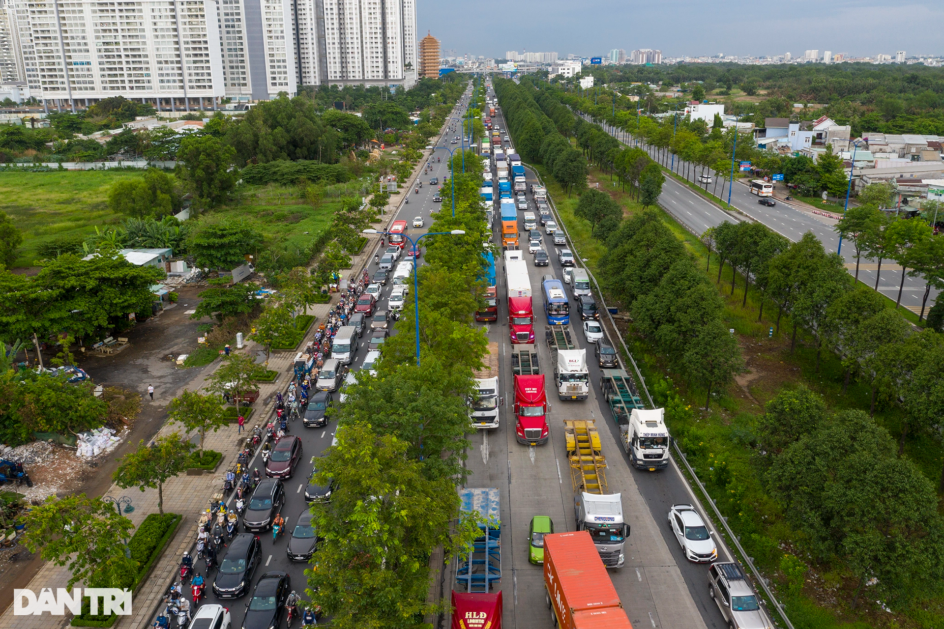 Ngắm những mảng cây xanh rộng lớn, mát mắt ở TPHCM - 23 Ngắm những mảng cây xanh rộng lớn, mát mắt ở TPHCM - 23