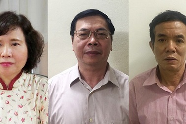 Cựu Bộ trưởng Vũ Huy Hoàng gây thiệt hại hơn 3.800 tỷ đồng