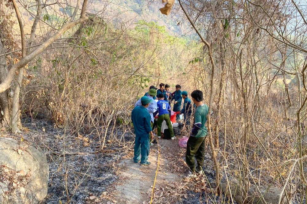 An Giang đã khống chế đám cháy rừng trên núi Cô Tô - 1