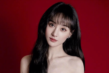 Trịnh Sảng bị kiện, phải bồi thường gần 410 tỷ đồng