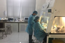 Xử lý nghiêm trường hợp lơ là, không cách ly trong phòng chống dịch Covid